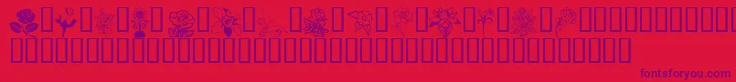 Weitere Informationen zur Flord-Schriftart Flord-Schriftart – Violette Schriften auf rotem Hintergrund