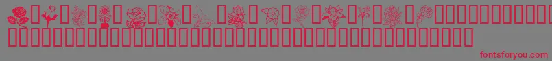 Flord Font – Red Fonts on Gray Background