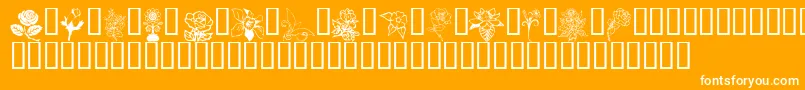 Flord Font – White Fonts on Orange Background