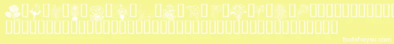 Flord Font – White Fonts on Yellow Background