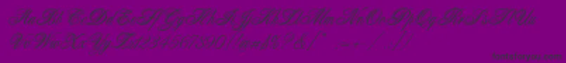 Connetable-fontti – mustat fontit violetilla taustalla
