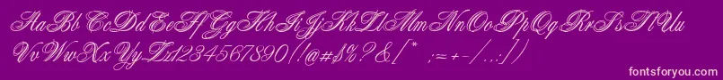 Connetable Font – Pink Fonts on Purple Background