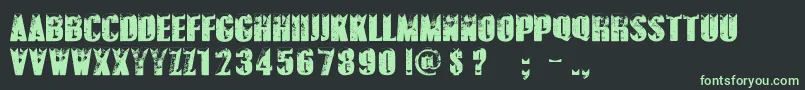 PolarVortexPersonalUseOnly Font – Green Fonts on Black Background
