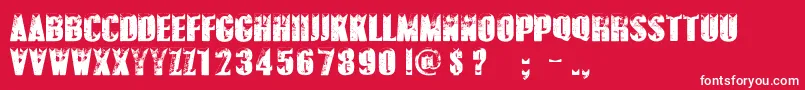 PolarVortexPersonalUseOnly Font – White Fonts on Red Background