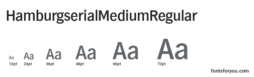 Размеры шрифта HamburgserialMediumRegular