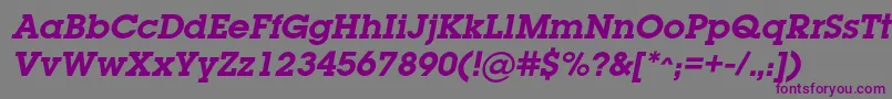 LugabookcBolditalic-Schriftart – Violette Schriften auf grauem Hintergrund