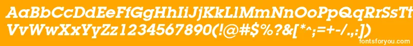 LugabookcBolditalic Font – White Fonts on Orange Background
