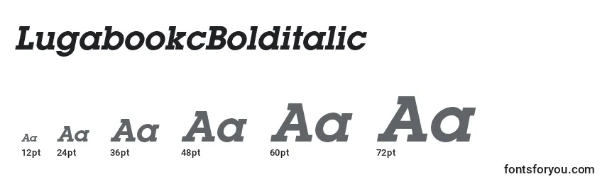 LugabookcBolditalic Font Sizes