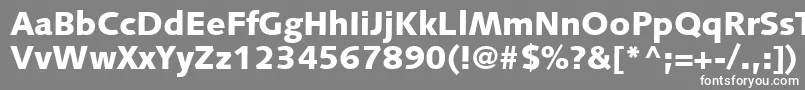 フォントPfsyntaxBlack – 灰色の背景に白い文字