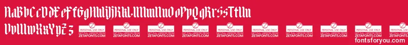 AdlibitumBoldTrial Font – White Fonts on Red Background