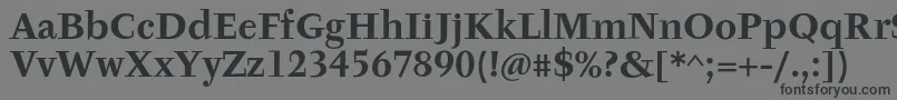 TyfaItcOtBoldフォントについての詳細 フォントTyfaItcOtBold – 黒い文字の灰色の背景