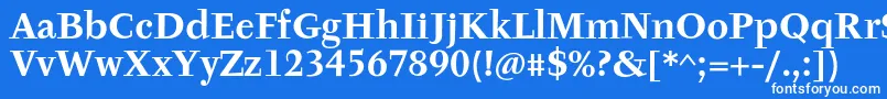 フォントTyfaItcOtBold – 青い背景に白い文字