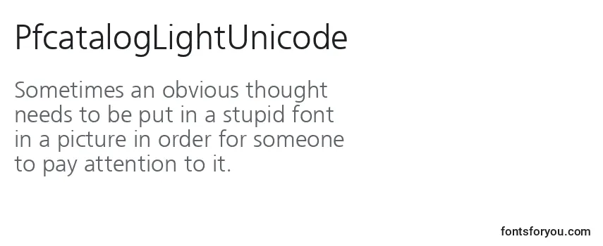 Review of the PfcatalogLightUnicode Font