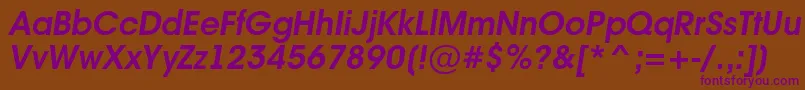 AAvanteintBolditalic Font – Purple Fonts on Brown Background