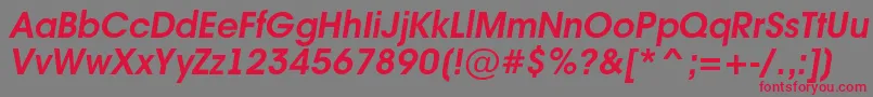 AAvanteintBolditalic Font – Red Fonts on Gray Background