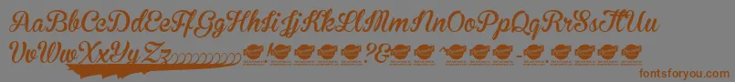 BrannbollNyPersonaluseonly Font – Brown Fonts on Gray Background