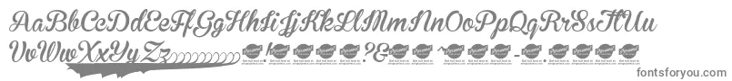 BrannbollNyPersonaluseonly Font – Gray Fonts