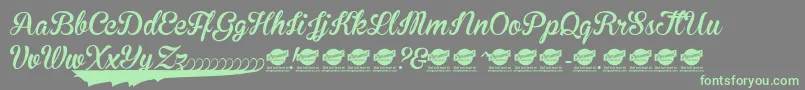 BrannbollNyPersonaluseonly Font – Green Fonts on Gray Background