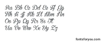 BrannbollNyPersonaluseonly Font