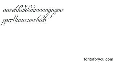 MirellaScriptLimitedFreeVersion font – maori Fonts