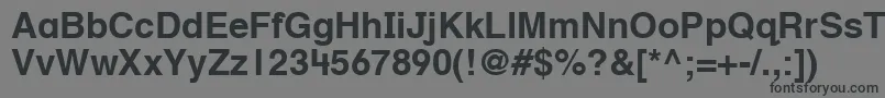 HelveticaTextbookLtBold Font – Black Fonts on Gray Background