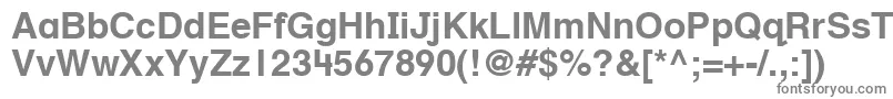 HelveticaTextbookLtBold Font – Gray Fonts on White Background