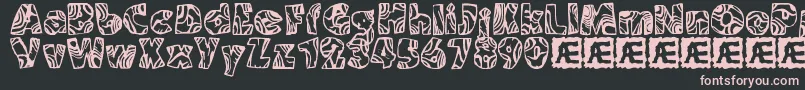 SwirledBrk Font – Pink Fonts on Black Background