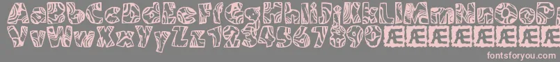 SwirledBrk Font – Pink Fonts on Gray Background