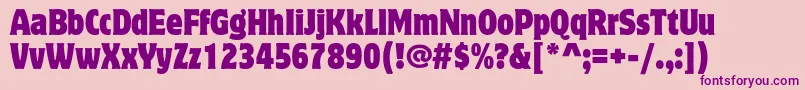 MottercorpusstdCondensed Font – Purple Fonts on Pink Background