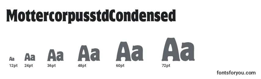 MottercorpusstdCondensed Font Sizes