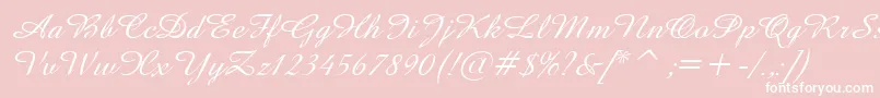 Police AmazeItalic – polices blanches sur fond rose