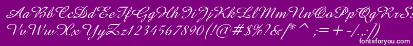 AmazeItalic Font – White Fonts on Purple Background