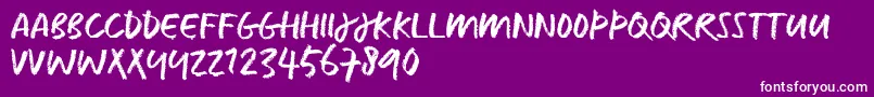 CaputTrial Font – White Fonts on Purple Background
