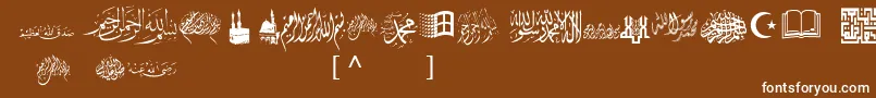 McsIslamicArt1 Font – White Fonts on Brown Background