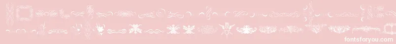 フォントCornucopiaOfOrnaments – ピンクの背景に白い文字
