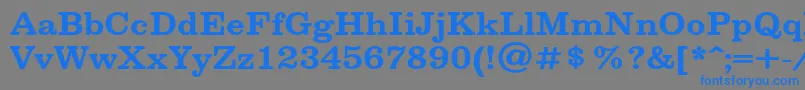 フォントSpslclarendoncBold – 灰色の背景に青い文字