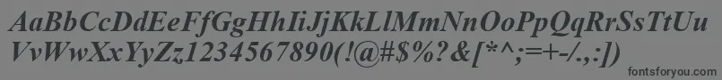 TimesNewRomanBoldItalic Font – Black Fonts on Gray Background