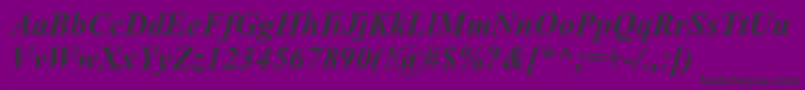 TimesNewRomanBoldItalic-Schriftart – Schwarze Schriften auf violettem Hintergrund