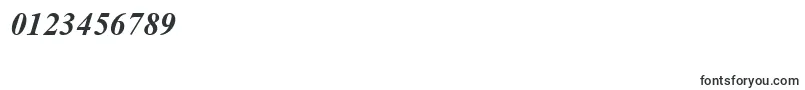 TimesNewRomanBoldItalic Font – Fonts for Numbers and Digits