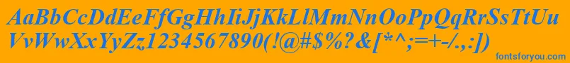 TimesNewRomanBoldItalic Font – Blue Fonts on Orange Background