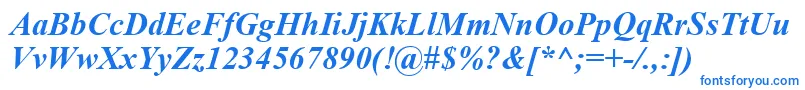 フォントTimesNewRomanBoldItalic – 白い背景に青い文字