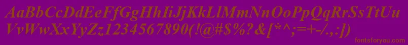 TimesNewRomanBoldItalic-Schriftart – Braune Schriften auf violettem Hintergrund