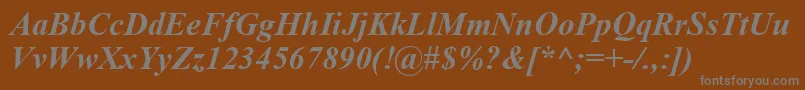 TimesNewRomanBoldItalic Font – Gray Fonts on Brown Background