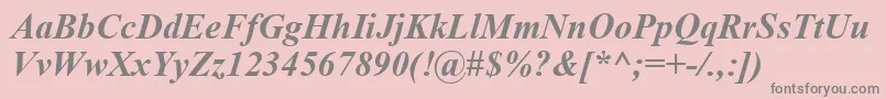 TimesNewRomanBoldItalic Font – Gray Fonts on Pink Background