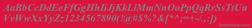 フォントTimesNewRomanBoldItalic – 赤い背景に灰色の文字