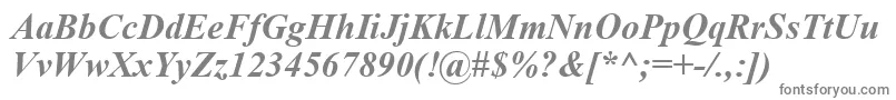 TimesNewRomanBoldItalic-fontti – harmaat kirjasimet valkoisella taustalla