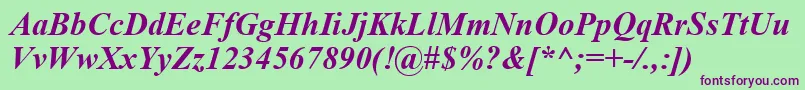 TimesNewRomanBoldItalic Font – Purple Fonts on Green Background