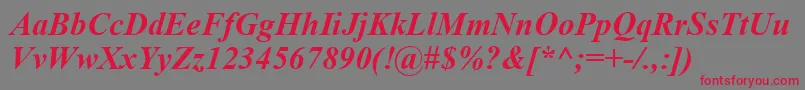 TimesNewRomanBoldItalic Font – Red Fonts on Gray Background