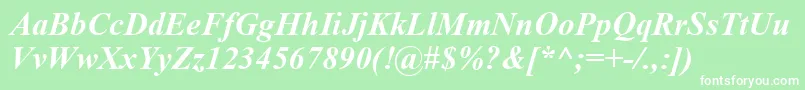 TimesNewRomanBoldItalic Font – White Fonts on Green Background