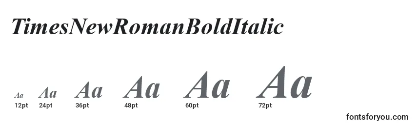 TimesNewRomanBoldItalic Font Sizes